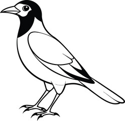 Beautiful bird icon vector illustration exotic bird design