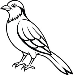 Beautiful bird icon vector illustration bird flying symbol