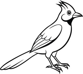 Beautiful bird icon vector illustration feather bird sketch