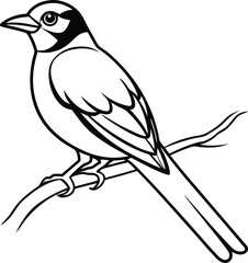 Beautiful bird icon vector illustration small wild bird art