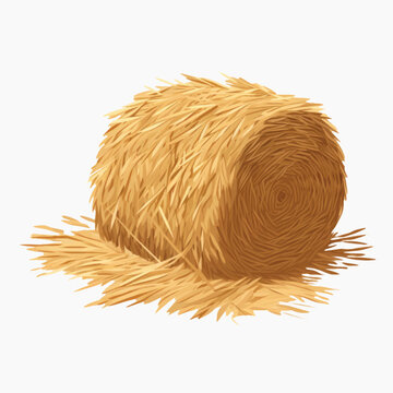 Round hay bale on ground