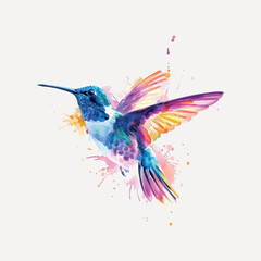 Obraz premium Colorful watercolor hummingbird illustration