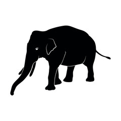 Obraz premium Set of elephants silhouettes. Animal Elephant Silhouettes vector illustration