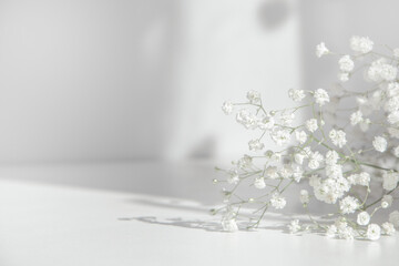 Floral background with gentle white flowers and copy space for design. Gypsophila flowers with sunlight shadows.