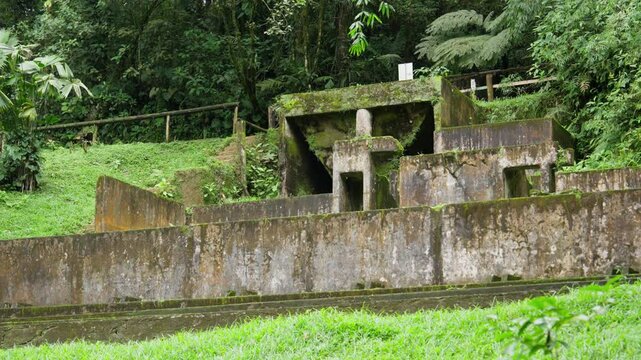 Ruinas en medio del bosque lleno de mucha vegetaci&oacute;n en la monta&ntilde;a