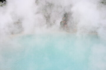 別府　地獄谷巡り