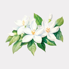 Obraz premium Elegant white floral illustration