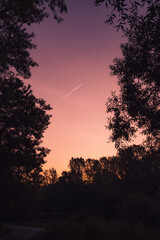 Airplane in the pink sky