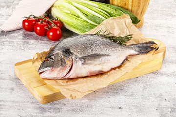 Raw dorada fish served rosemary