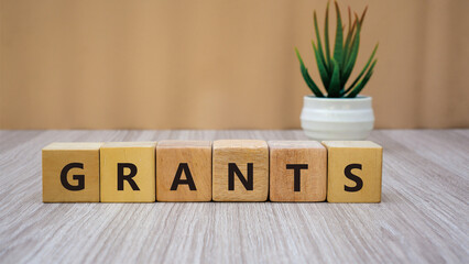 GRANTS word. Copy space. Concept word GRANTS on wooden blocks. Business and financial concept. 