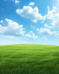 Obraz premium Serene Green Field and Expansive Blue Sky