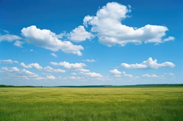 Obraz premium Serene Green Field Under Expansive Blue Sky
