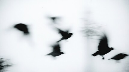 Blurry abstract flying birds in motion with monochromatic background