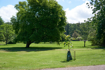 Gothenburg botanical garden in Sweden