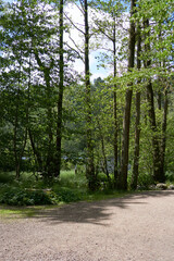 Gothenburg botanical garden in Sweden