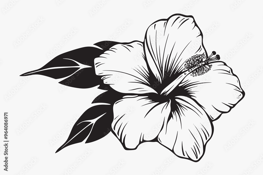 Poster elegant hibiscus flower illustration