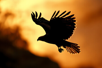 A silhouette of an eagle soaring against a vibrant sunset backdrop.