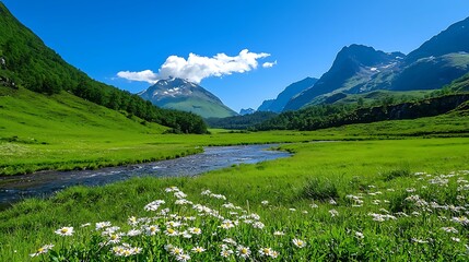 A mountain river flowing beside a meadow dotted with daisies.