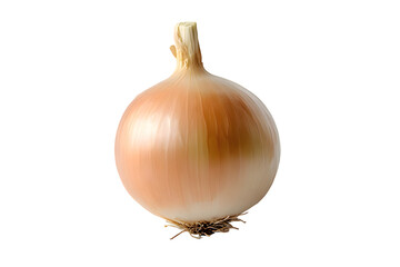 Onion isolated on transparent background