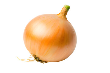 Onion isolated on transparent background