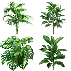 Tropical Green Leaf Set, Ideal for Interior Decoration, Isolated on Transparent Background