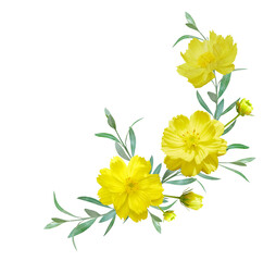 Yellow Cosmos flower bouquet isolated on transparent background. Flower wreath for card and decoration.