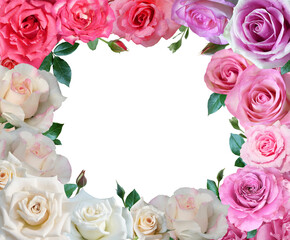 Rose flowers frame border ornament square isolated on transparent background.