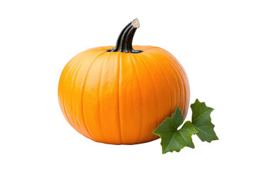 A vibrant orange pumpkin with a smooth texture and green leaves, perfect for autumn decorations and seasonal recipes.