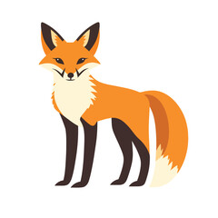Fototapeta premium Fox vector isolated