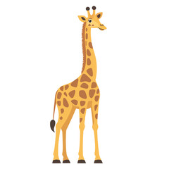 Naklejka premium Giraffe vector isolated