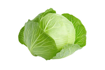 Fototapeta premium Fresh, green cabbage with vibrant leaves, perfect for healthy dishes and salads, showcasing its natural beauty.