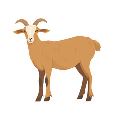 Obraz premium Goat vector isolated