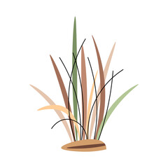 Dry grass bush on white background. Plant of sandy desert, savanna. African plant vector illustration