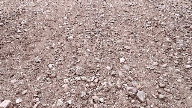 Plano picado subjetivo de una persona caminando por un suelo de tierra y piedras en el campo reci&eacute;n arado para siempre o cultivo agr&iacute;cola