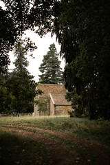 the road to the old English church and cemetery. The road through the trees.
