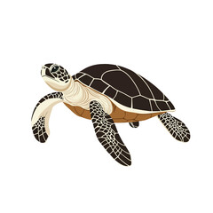 Fototapeta premium Turtle vector isolated