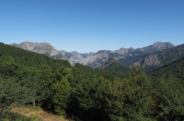Picos de europa