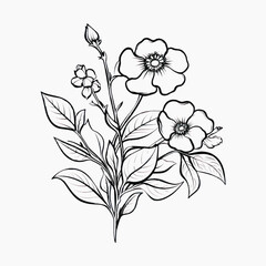 Elegant floral line art