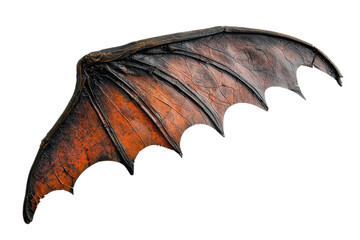 Close-up of a single bat wing, showing intricate details of the veins and texture, isolated on a transparent background.