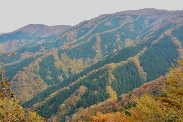 Fototapeta premium ナメゴ谷の紅葉