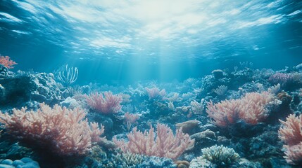 Sunbeams Through Underwater Coral Reef