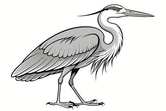recommend clip art: Heron continuous line art drawing illustration black and white
