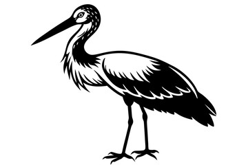Stork bird silhouette vector, bird silhouette, stork bird black icon vector isolated on white background