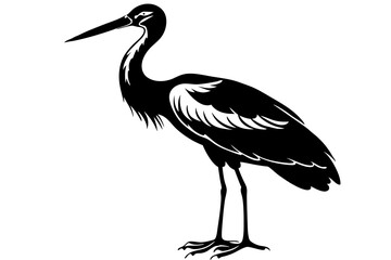 Stork bird silhouette vector, bird silhouette, stork bird black icon vector isolated on white background