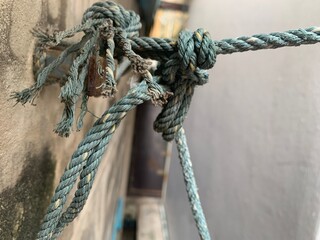Green string Rope knot on a white wall