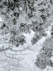 Winter in Sobaeksan National Park,South Korea. Frost completely covers the trees. The trees are buried in snow. Winter Mountain Hiking. Snow Flower. everything is frozen and covered with snow growths.