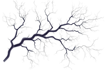 Obraz premium Detailed illustration of a complex, branching tree structure with intricate patterns, resembling veins or branches, on a transparent background.