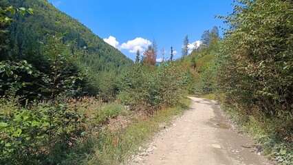 Obraz premium dirt road in the mountains