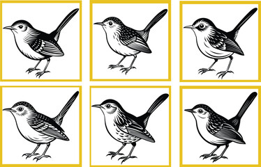 tailorbird bird isolated line art vector illustration