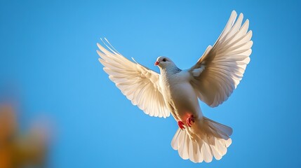 International Day of Peace (World)